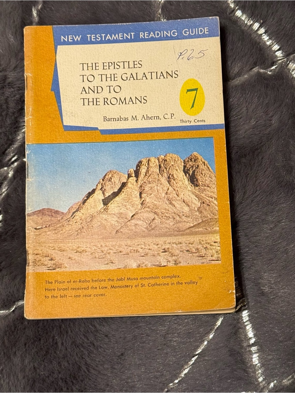 1960s The Epistles to the Galatians and to the Romans Vintage Paperback